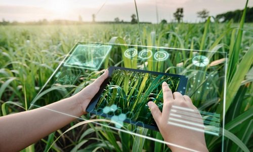 AI in Agriculture: How Smart Technology Is Helping Farmers